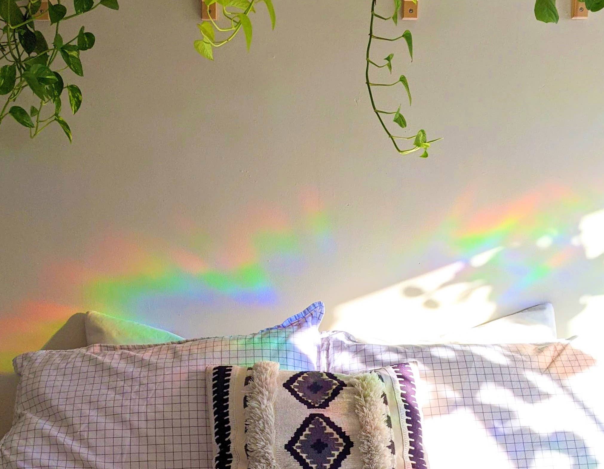 Jellyfish Suncatcher | Rainbow Making Window Cling