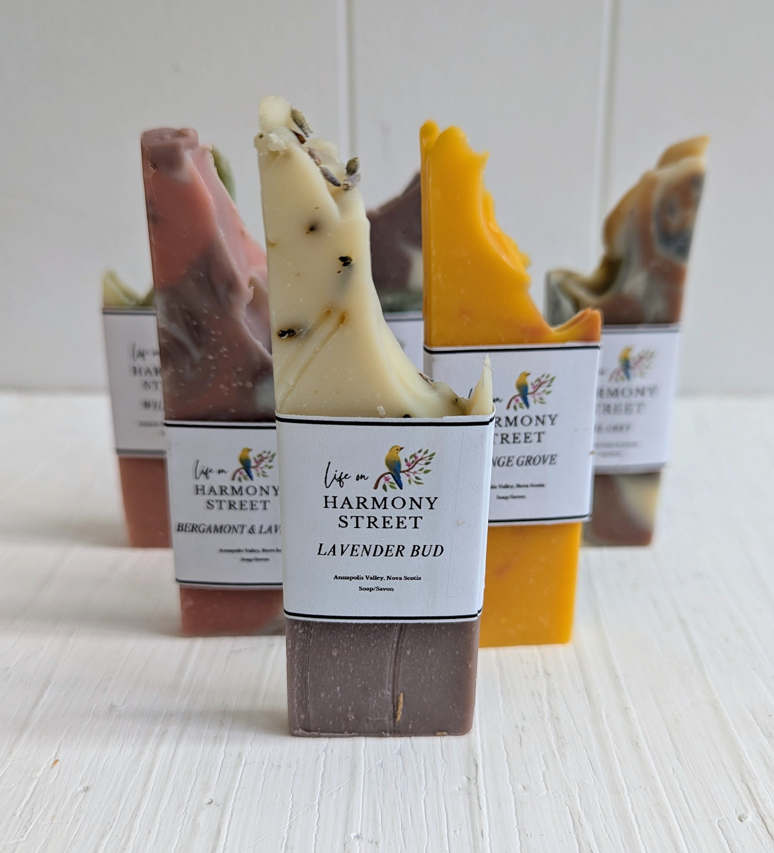 Mini Soap - Life on Harmony Street