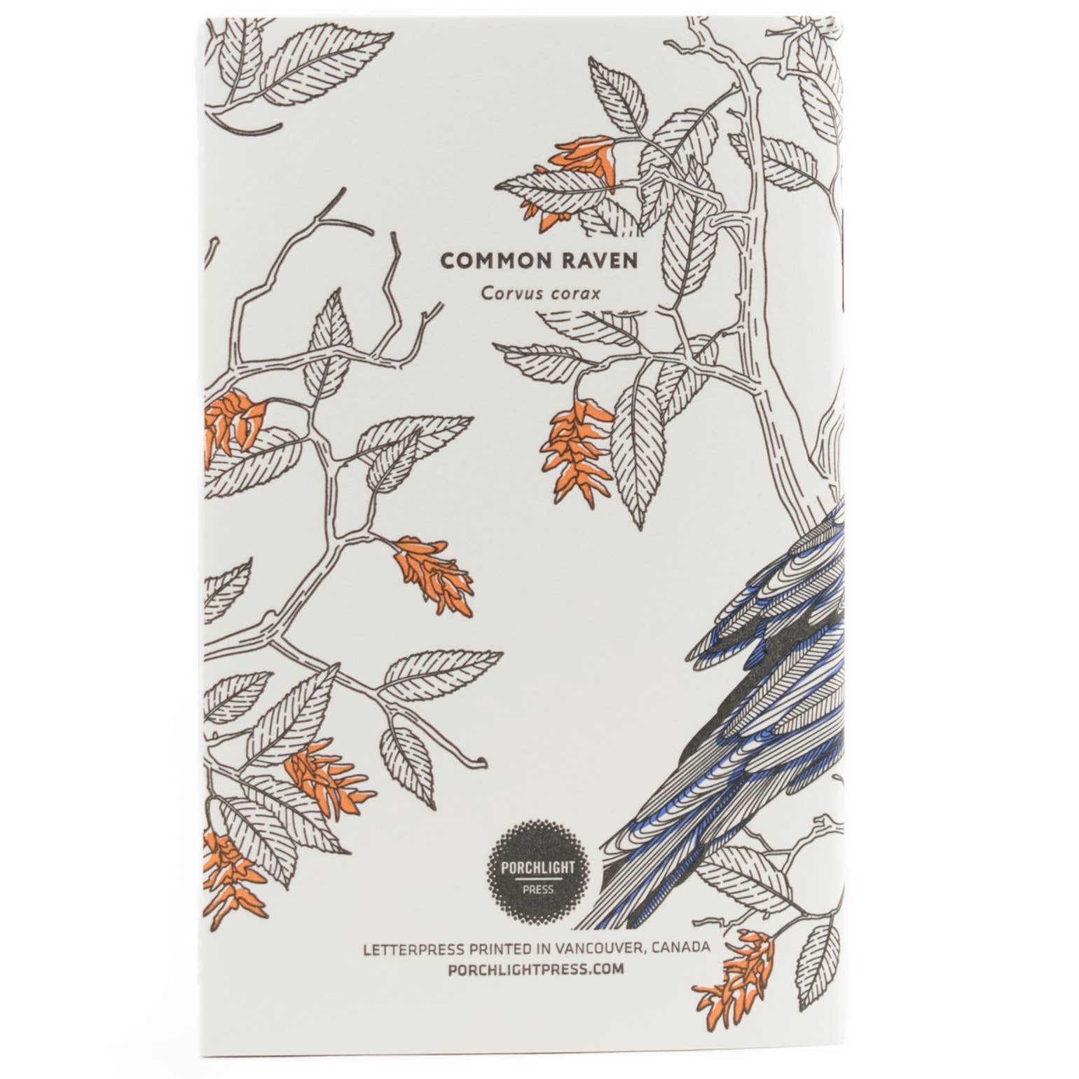 Common Raven Pocket Notebook