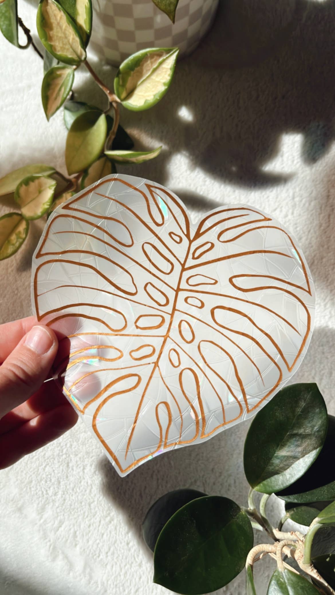 monstera plant gift Monstera Leaf Suncatcher Sticker | Window Cling