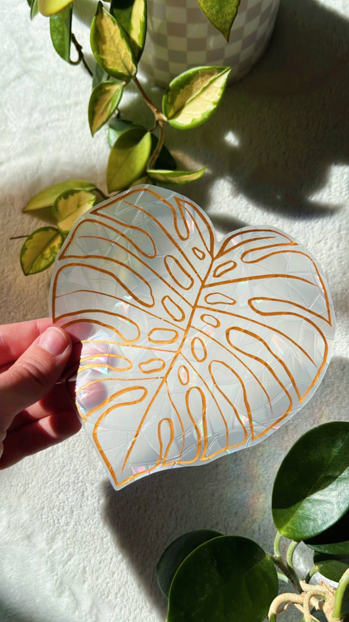 Monstera Leaf Suncatcher Sticker | Window Cling | Plant Gift