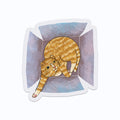 Ginger Cat in a Box Clear Vinyl Sticker